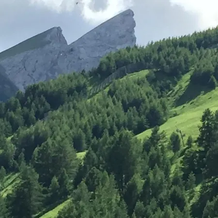 Apartment Foux D 4 Personnes Allos